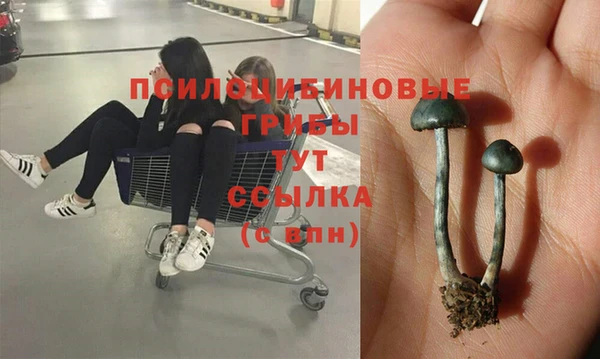 скорость Богородицк