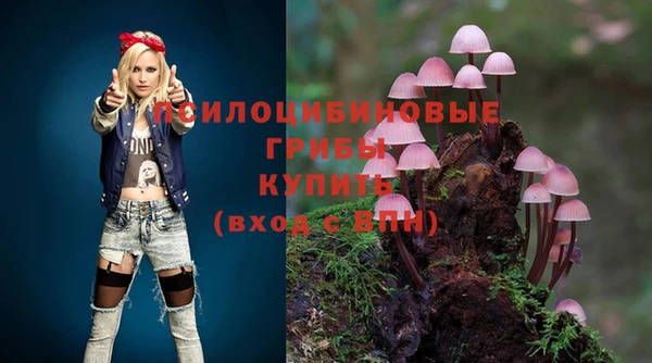 скорость Богородицк